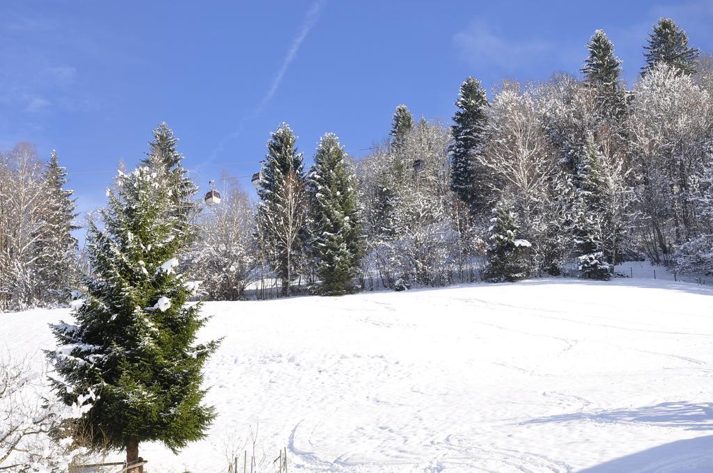 Haus Voithofer Lägenhet Sankt Johann im Pongau Exteriör bild